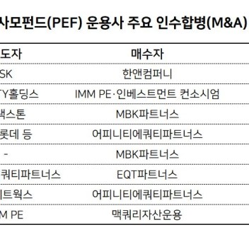 ‘백기사’ 패러다임 바꾼 PE…‘12조’ M&A 이끌고 ‘40조’ 실탄 채비
