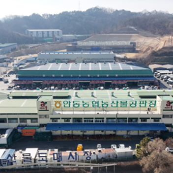 공판장서 사과 한 알에 1만 원↑… 추석 앞두고 현지 도매시장 '금사과'