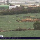 "천금같은 단비"...겨울 가뭄 해갈  도움