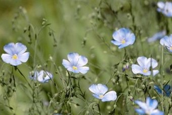 화날 때 쓰는 엄마의 마음 처방
