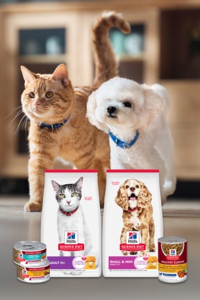 [힐스] 2026년 첫 LIVE, 1월 브랜드데이 ~40% 특가!