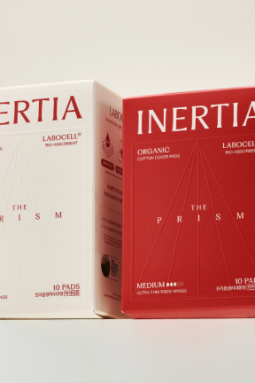 [블루밍데이즈 앵콜전] 이너시아 연말특가 라이브❄️