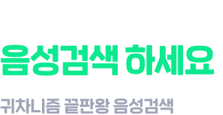 집콕할때는 음성검색 하세요 귀차니즘 끝판왕 음성검색